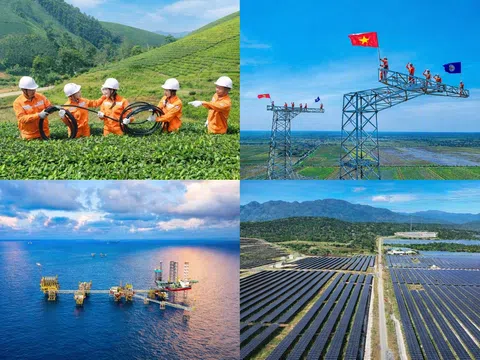 Bước chuyển từ khuyến khích sang hành động