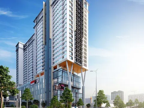 Cổ phiếu OGC của Tập đoàn Đại Dương tiếp tục bị giữ nguyên diện cảnh báo do lỗ lũy kế hơn 2.300 tỷ đồng