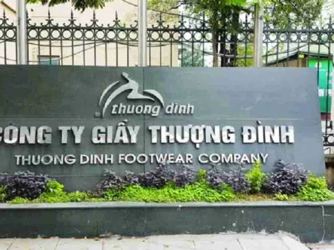 Sau thương vụ Vinaconex, An Quý Hưng Holding tiếp tục gom cổ phần Giầy Thượng Đình