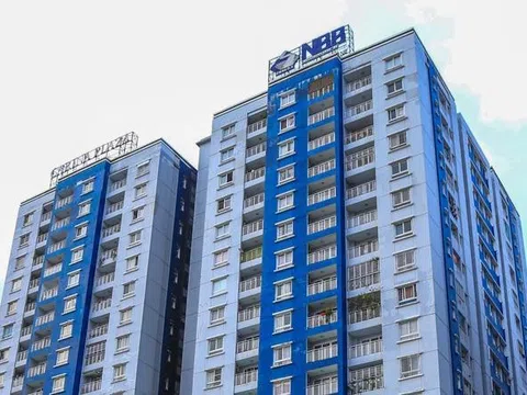 Năm Bảy Bảy bị phạt vì giao dịch liên quan đến CII chưa được thông qua