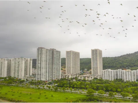 Quảng Ninh “điểm danh” 68 dự án vướng mắc kéo dài, yêu cầu xử lý dứt điểm trong năm 2026