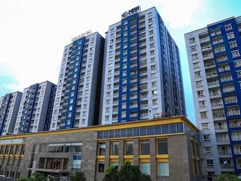 Doanh thu lao dốc Năm Bảy Bảy lên kế hoạch bán cổ phiếu quỹ