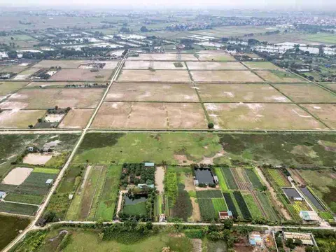 Thu hồi gần 28 ha đất lúa tại Tam Hưng để triển khai phân khu đầu tiên của đại đô thị Olympic
