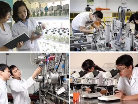 14 lĩnh vực người có chức vụ không được thành lập doanh nghiệp sau khi thôi chức