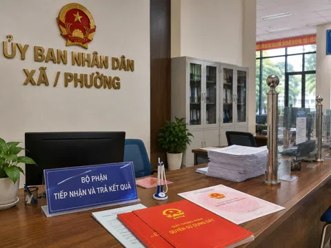 Chủ tịch xã, phường được phân cấp 26 nhiệm vụ quan trọng trong lĩnh vực đất đai, thủ tục ngay tại chỗ