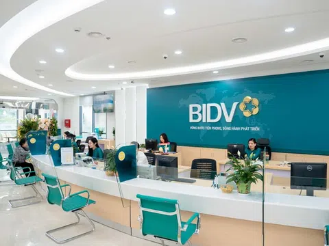 BIDV Bình Định chưa định giá lại tài sản bảo đảm theo quy định