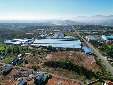 Bị mất sổ đỏ, thủ tục cấp lại thế nào tại Lâm Đồng theo quy định mới nhất?