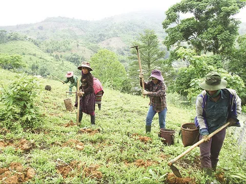 Đề xuất sửa đổi, bổ sung về giao đất, cho thuê đất