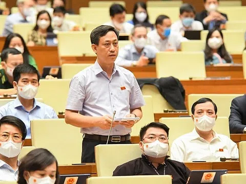 Đại biểu Quốc hội tha thiết đề nghị Chính phủ cắt giảm các khoản chi không cần thiết