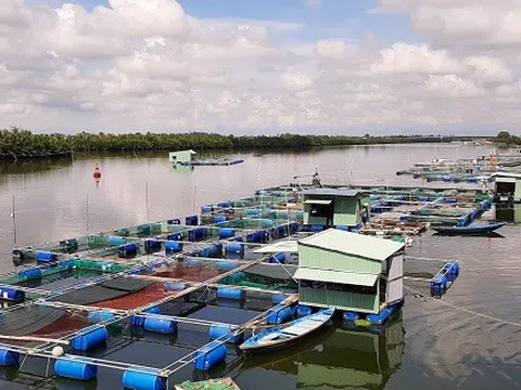 Chủ động ứng phó, hạn chế thiệt hại cho ngành thủy sản trong mùa mưa lũ