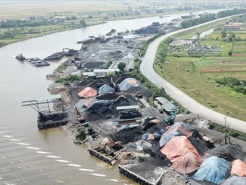 Ninh Bình: Vi phạm hành lang an toàn đê điều kéo dài, do đâu?