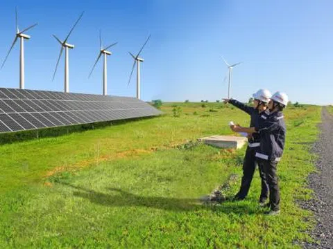 Quy hoạch điện VIII, Thái Bình đề xuất bổ sung 8.700 MW điện gió