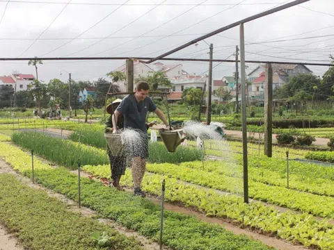 Quảng Nam: Thu hút khách du lịch bằng bộ tiêu chí Du lịch xanh