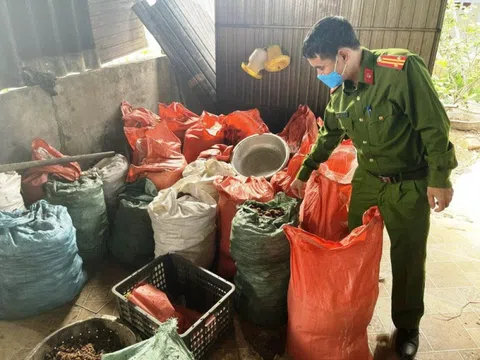 Hà Tĩnh: Phát hiện hơn 1000 kg mỡ động vật, chân gà không rõ nguồn góc