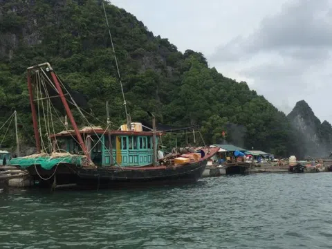 Ngân hàng triển khai các giải pháp để hỗ trợ khách hàng khắc phục hậu quả bão Yagi