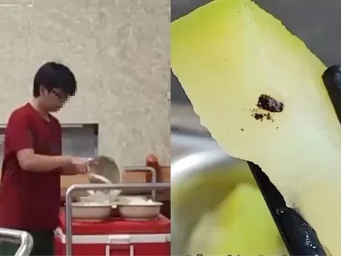 xử lý nghiêm các sai phạm liên quan đến chất lượng bữa ăn tại ĐH Bách Khoa Hà Nội
