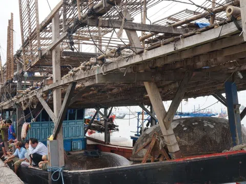 Quảng Nam tăng tốc chống khai thác IUU, sẵn sàng đón Đoàn thanh tra EC lần thứ 5