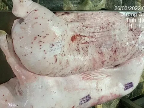 Ngành Nông nghiệp đề nghị Bộ Công an vào cuộc vụ 'C.P. Việt Nam bị tố cáo bán thịt lợn bệnh'