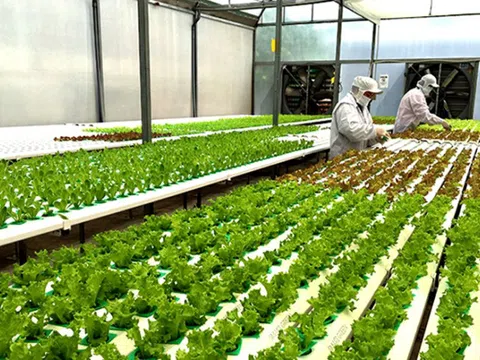 Bổ sung chính sách tín dụng khuyến khích nông nghiệp hữu cơ, tuần hoàn