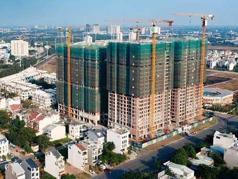 Bất động sản Thái Bình: Vi phạm công bố thông tin trong bối cảnh lỗ lớn năm 2024