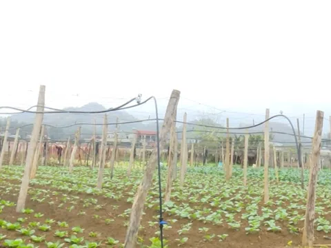 Sơn La nâng cao hiệu quả hỗ trợ pháp lý cho doanh nghiệp nhỏ và vừa