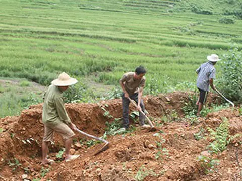 Có được điều chỉnh diện tích đất ở đã cấp trên Giấy chứng nhận?