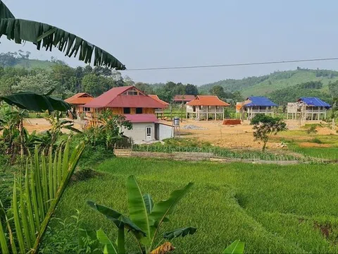 Chủ cũ vi phạm đất đai, chủ mới có phải khắc phục hậu quả?