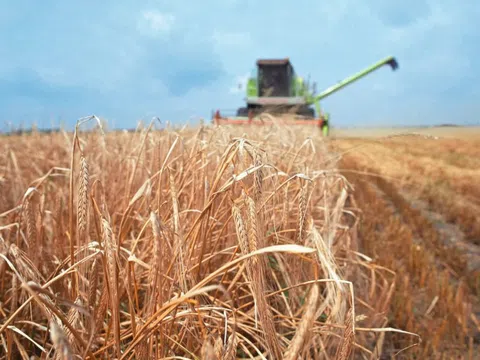 Áp lực từ năng lượng và xung đột Trung Đông