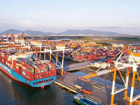 Đồng hành để vươn xa