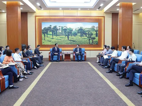 Phú Thọ “trải thảm đỏ” cho Meiko: Tăng tốc hạ tầng điện, mở “luồng xanh” cho dự án công nghệ cao