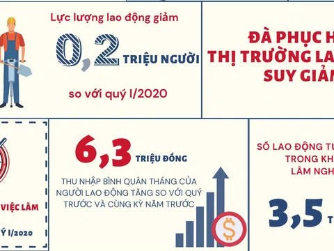 Tác động của Covid -19 đến tình hình lao động việc làm