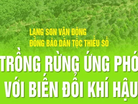 Infographic: Lạng Sơn vận động đồng bào DTTS trồng rừng ứng phó với BĐKH