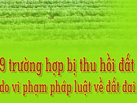 Inforgraphic: 9 trường hợp bị thu hồi đất do vi phạm pháp luật về đất đai