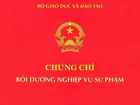 Quản lý chặt chẽ phôi chứng chỉ nghiệp vụ sư phạm