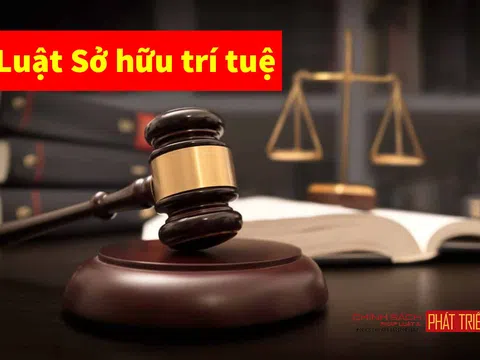 Sửa đổi Luật Sở hữu trí tuệ: Trên đường về đích