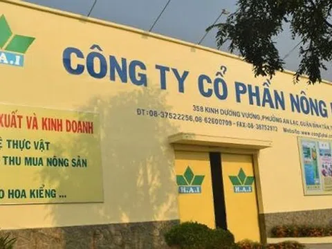 Agribank rao bán lô đất 3.000m2 của công ty con thuộc FLC với giá 220 tỷ