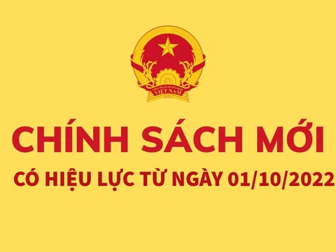 Chính sách về tiền lương, bảo hiểm có có hiệu lực từ tháng 10