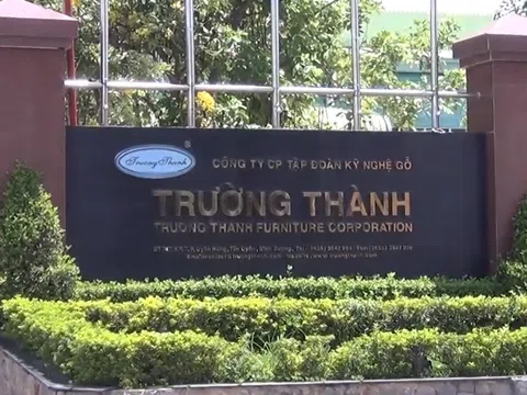 Gỗ Trường Thành bị xử phạt vi phạm hành chính 150 triệu đồng