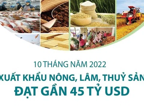 10 tháng năm 2022: Xuất khẩu nông, lâm, thủy sản đạt gần 45 tỷ USD