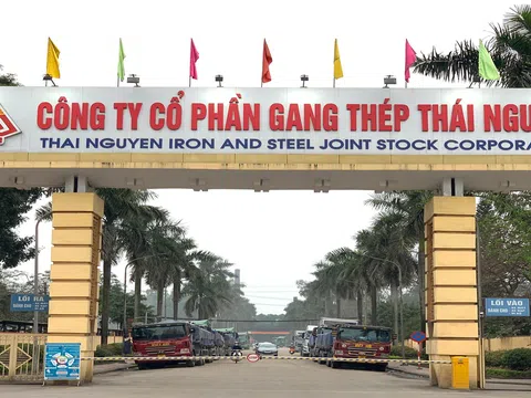 TIS ngập trong thua lỗ