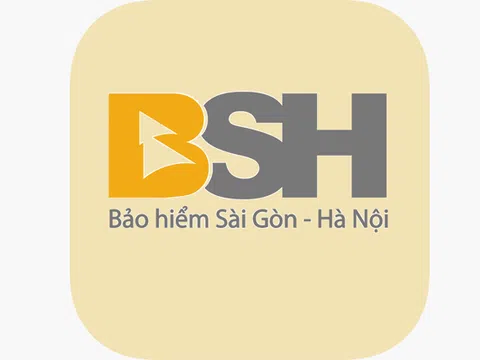 Bảo hiểm BSH cùng lúc nhận 6 lá đơn xin từ nhiệm vị trí thành viên HĐQT