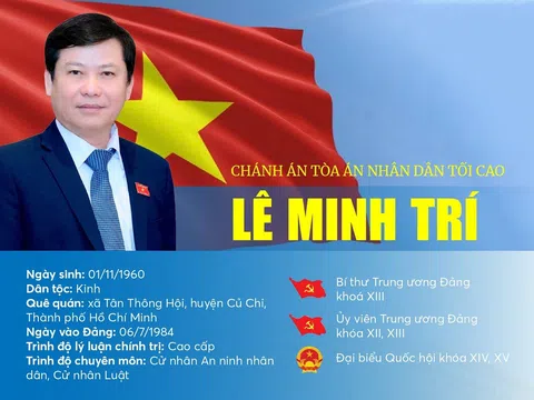 INFOGRAPHICS: Tóm tắt tiểu sử Chánh án Toà án nhân dân Tối cao Lê Minh Trí