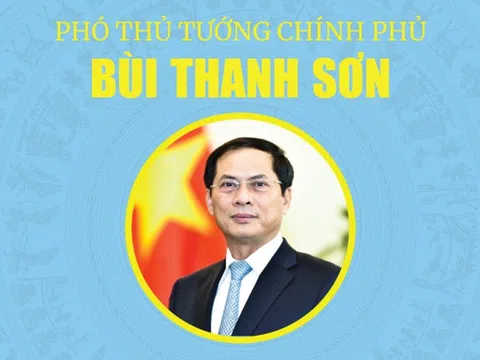 INFOGRAPHICS: Tóm tắt tiểu sử Tân Phó Thủ tướng Chính phủ Bùi Thanh Sơn