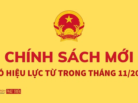 Những chính sách mới có hiệu lực từ tháng 11/2024