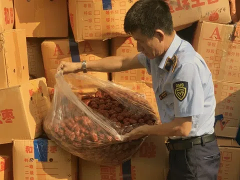 Phát hiện hơn 4 tấn táo đỏ nhập lậu
