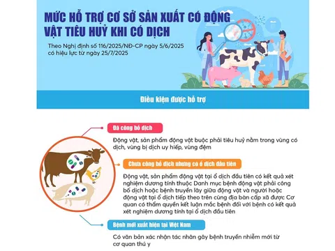 Mức hỗ trợ cơ sở sản xuất có động vật tiêu huỷ khi có dịch