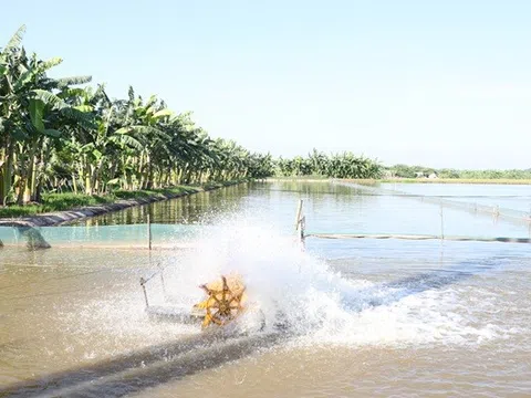 Hà Nội ban hành quy định mới về bồi thường cho vật nuôi không thể di dời khi thu hồi đất