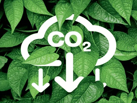 Quy định về sàn giao dịch các-bon trong nước