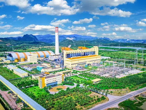 Nhiệt điện Thăng Long: Khi "đòn bẩy" nợ vay dần hạ nhiệt và bài toán lợi nhuận bền vững