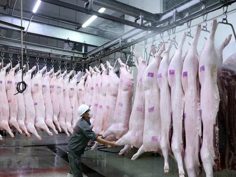 Bước ngoặt minh bạch hóa thị trường 25.000 tỷ đồng